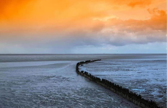 Bungalow in Sondel Near Slotermeer Lake - Foto 21