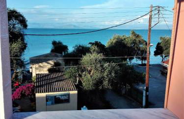 Dinos Green Place - Photo 10