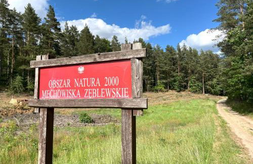 GRANIASTY - nowoczesny dom wakacyjny z basenem - Photo 36