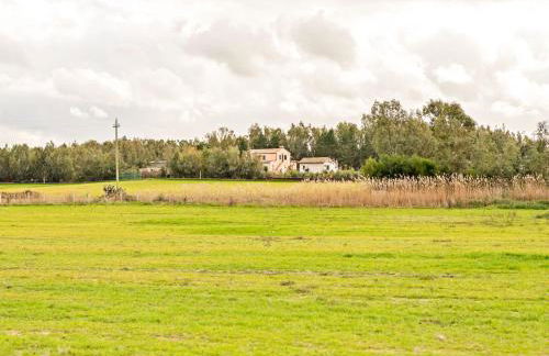 Homes in the Lagoons of Santa Giusta - Foto 49