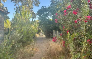 Very comfortable air-conditioned 2 rooms with direct beach access and a free parking - Foto 17