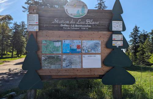 Là-haut au Lacblanc, 3 pièces, 2 chambres, balcon, cave - Foto 19