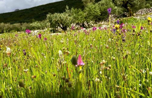 Casa da Curva - Foto 47