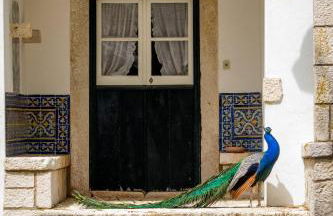 Quinta da Foz - Foto 17