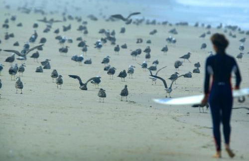 Casa Amado, Aldeia da Pedralva - Foto 50