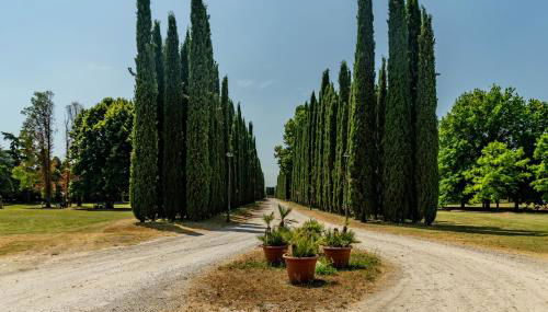 Fontanile Garden Villa - Foto 2