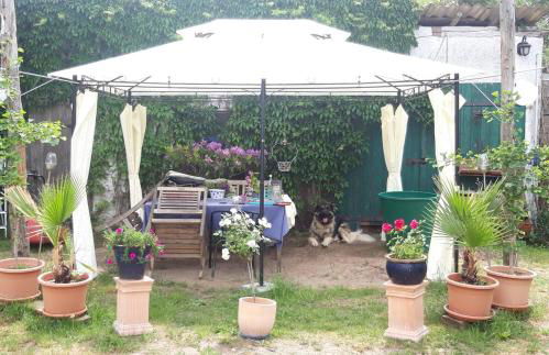 Der Konikhof, Natur, Ruhe, R-Auszeit - Photo 33