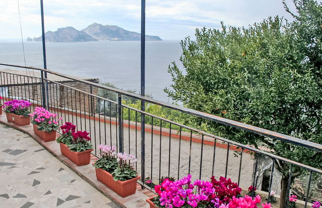 Giardino Caprese - Foto 2