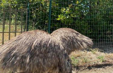 Agriturismo Tenute di Hera - Via Francigena - Foto 19