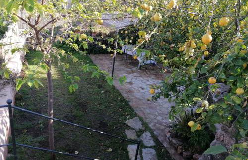 Filoses 18A - Foto 44