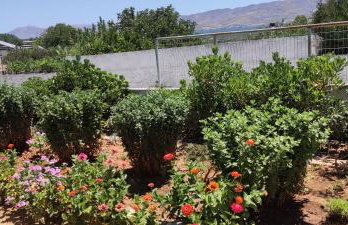 Green Garden House - Foto 20