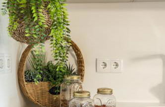 Aurora do Furadouro - Foto 19