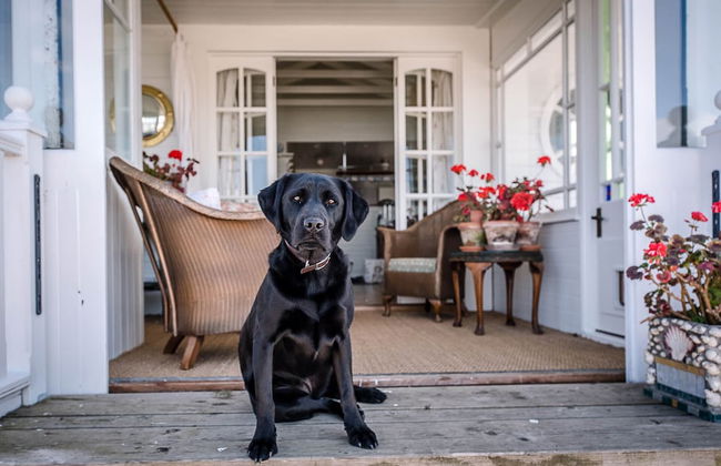 The Boathouse, Felixstowe Ferry - Foto 33