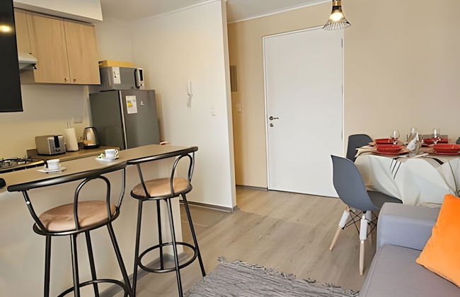 Oceana Suites Volcán Villarrica - Photo 19