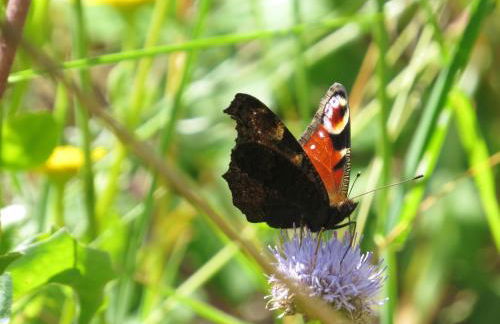 Charming House in Celorico de Basto with Mountain View - Foto 18