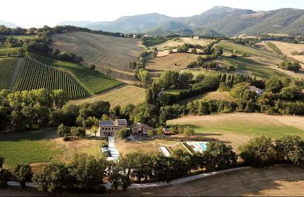 Da Foschetta - Foto 5