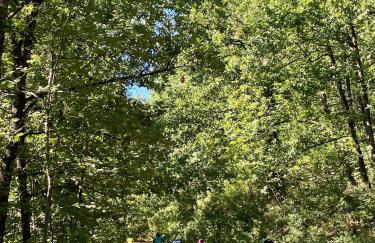 Garden Residence - Foto 34