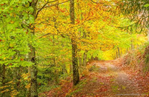 Vintage 2-Bed Apt with Music Room - Foto 16