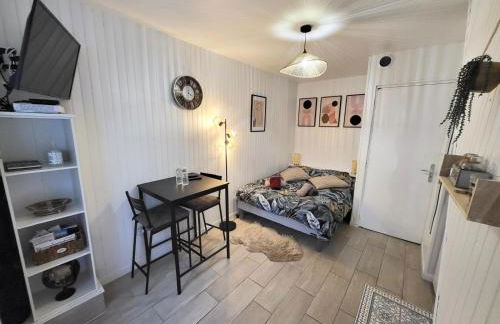 Studio cosy au cœur du quartier Saint-Pierre - Foto 1