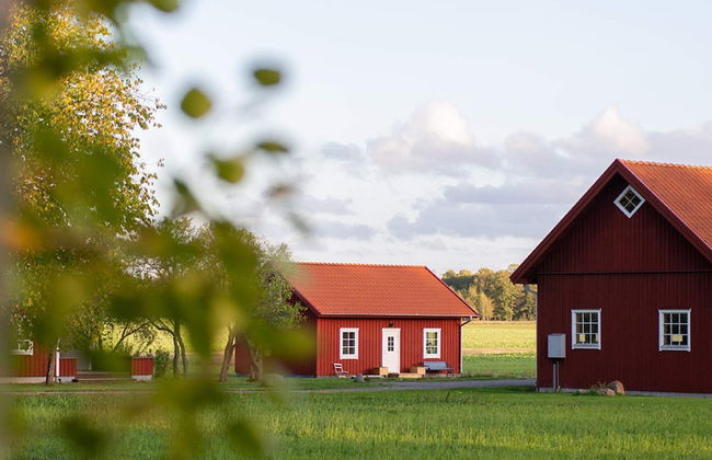 6 Person Holiday Home in Gotene-by Traum - Photo 29