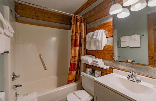 Swiss Mountain Village - Foto 70