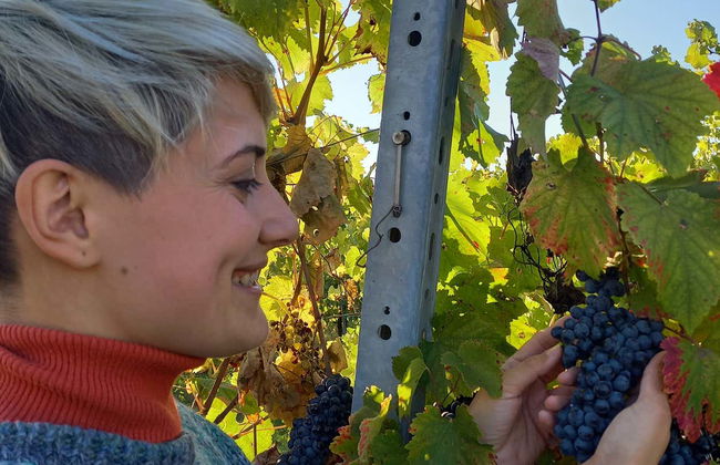 Visita a una bodega de vinagre balsámico - Foto 9