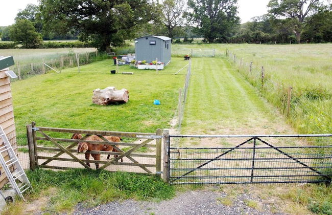 Charming Luxurious Rural Shepherds Hut - Foto 18