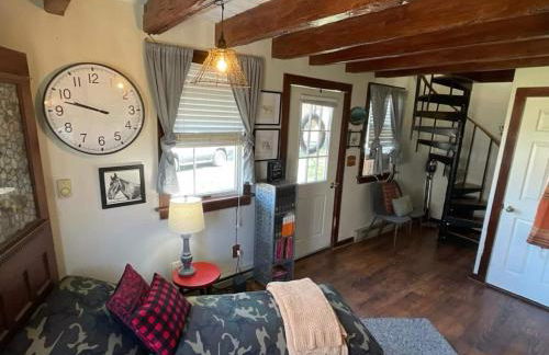 Cozy Tinyhouse JMUDowntown Fire Pit Yard - Foto 7