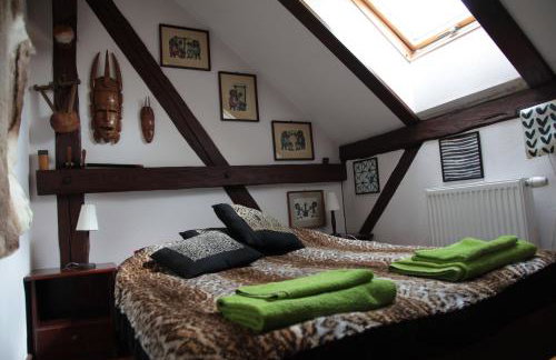 Orlik Mazury - Foto 10