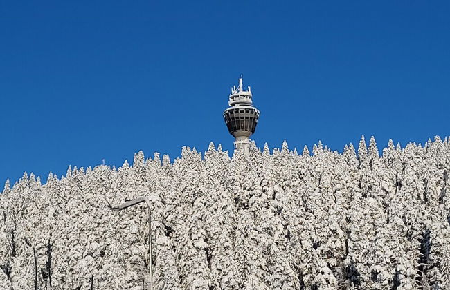 Apartment Puijo with garage - Photo 9