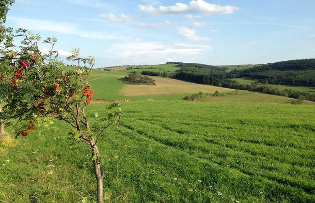 Ferienhaus Bikehütte Rehnhäusl - Photo 20