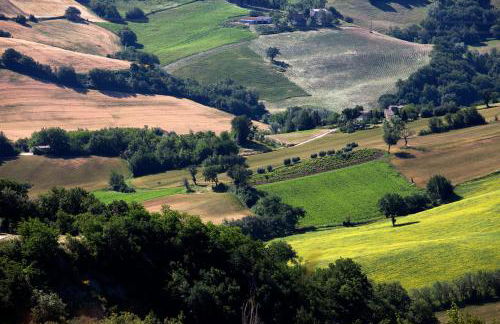 Riserva Privata San Settimio - Foto 21