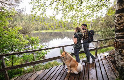 Balkon mit Schwarzwaldblick, Hunde frei, Tischfußball, Parkplatz, familienfreundlich - Foto 28