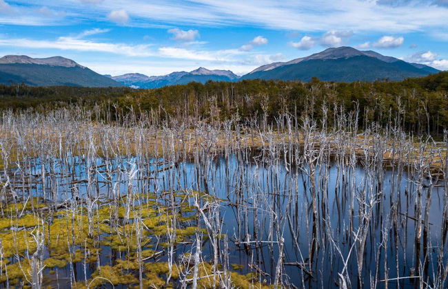 Escondido & Fagnano Lakes Day Trip - Photo 4