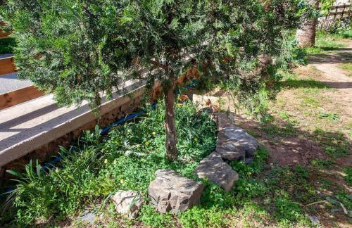 Chania Paradise Retreat - Photo 42