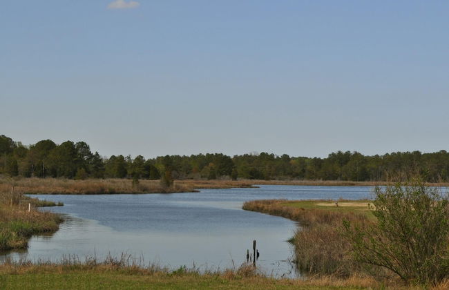 Camp Cardinal Gloucester Point - Photo 1