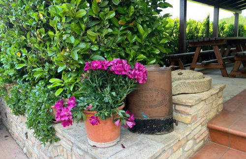 Assisi, la Noce - Foto 37