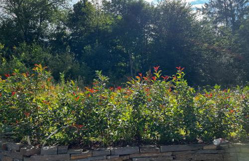 FeHaus Weltwald Harz - Foto 68