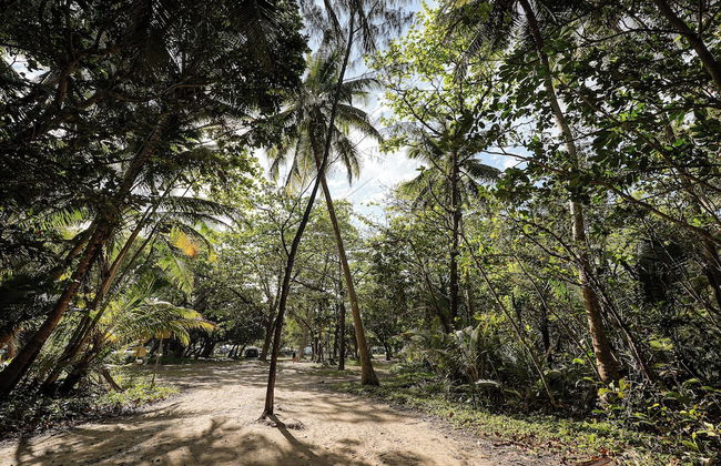 Daintree Beach Resort - Foto 74