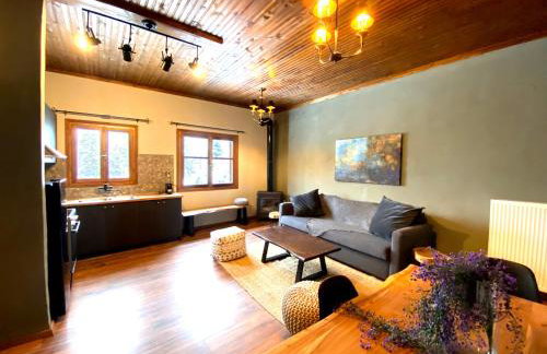 Pavliani House - Foto 35