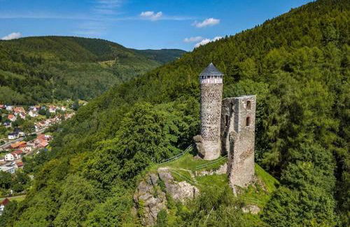 Wohnung Steinbach nahe Skihalle Oberhof - Foto 27