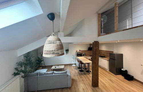 LE CONFORTABLE Sarrebourg Wifi Parking 4 personnes Proche Gare - Foto 18