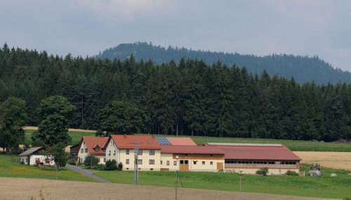 Ferienwohnung Burgerhof - Foto 5