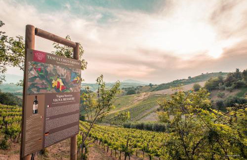 Relais Cocci Grifoni - Panoramic Wine Resort - Foto 28