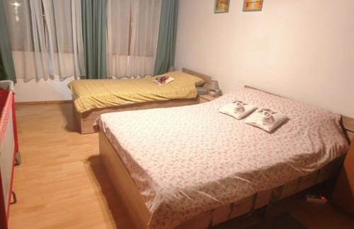 Apartman 1 RIBIČ - Foto 2