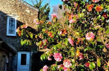 Cute Cornish Cottage - Photo 1