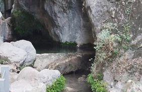 La parrilla - Photo 9