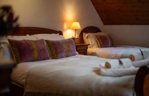 Ski Peak - Chalet Rostaing - Incredible vaulted ceiling dining room and breathtaking garden - Foto 26