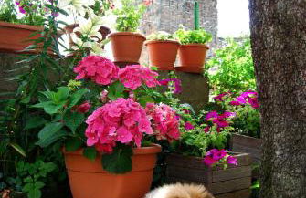 Casa Muro Ordesa - Photo 28