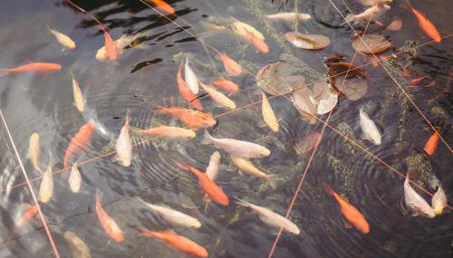 Hikers Retreat - peaceful South Downs escape - Foto 3